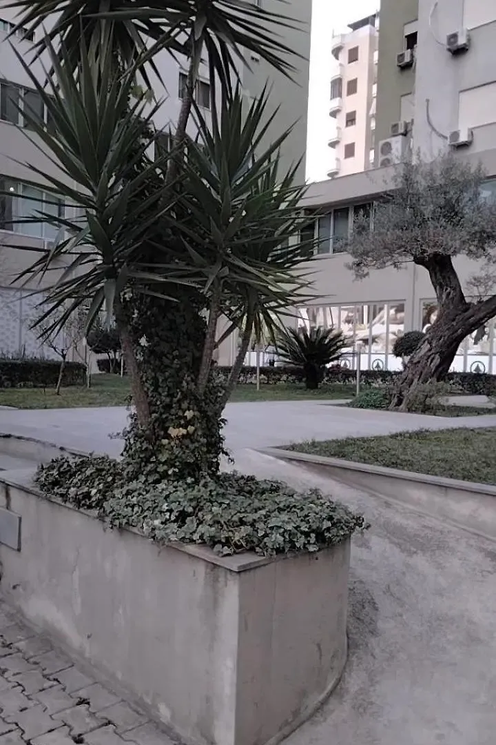 Green Tower Vlore 0*,